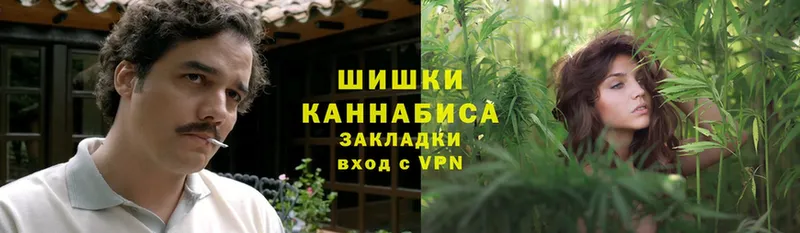 Бошки марихуана THC 21%  Мосальск 